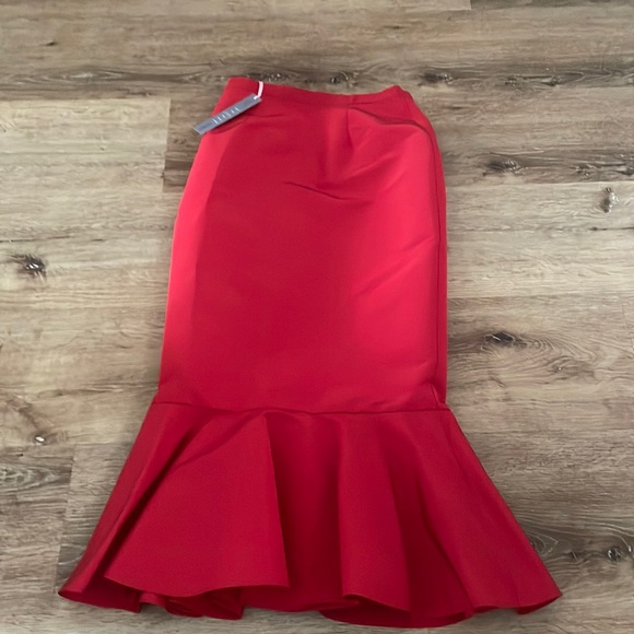 Brand New with Tags Beautiful designer Damaris Bailey Rubina red Mermaid Skirt M - Picture 1 of 6